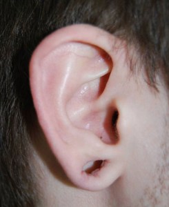Ears With Nizar Merheb MD